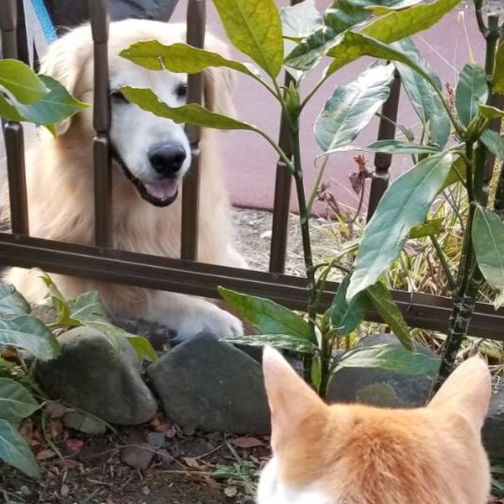 1e93427a c08e 43f2 9494 e18ba22ce29d 1516315703753