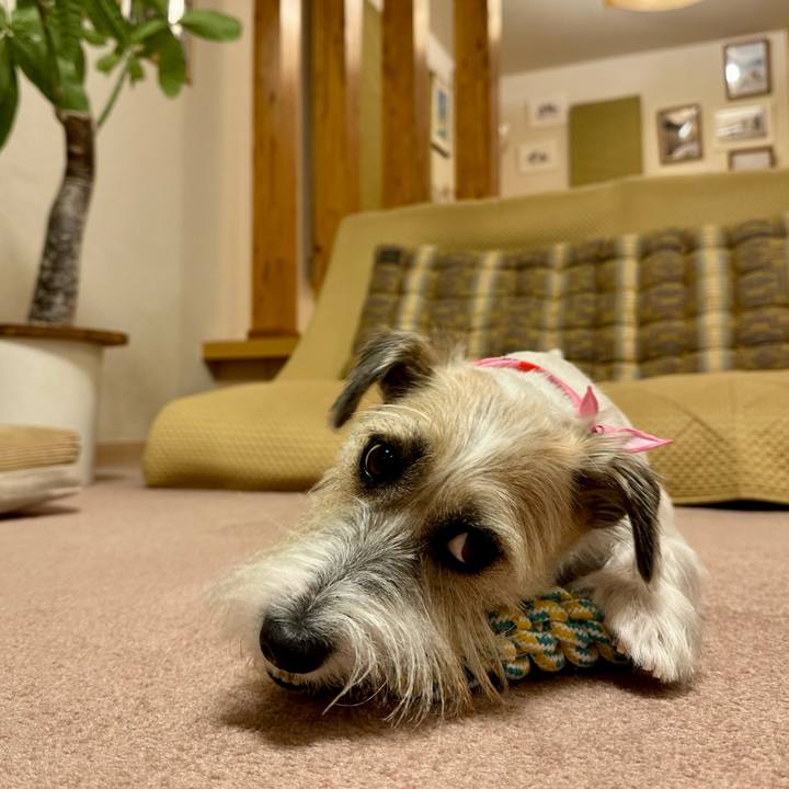 1e934583 a6ed 44bc a700 eeb47b4ca4f6 1701696894615