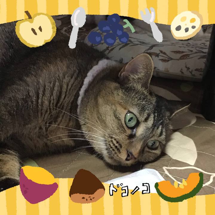 1e9346df b542 4b56 8c13 28d33f74622b 1727249743444