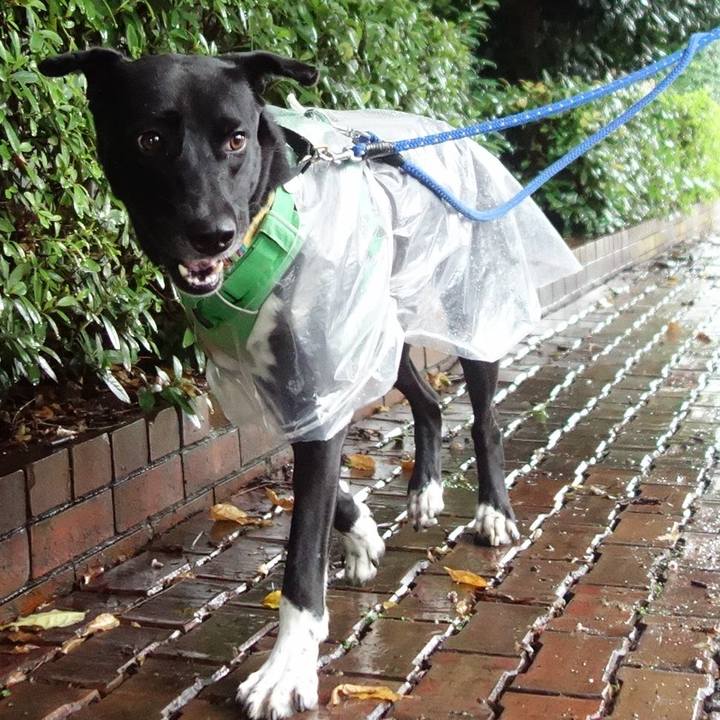 1e9351eb 864f 4edf b829 efb6a40b16e1 1595463526273