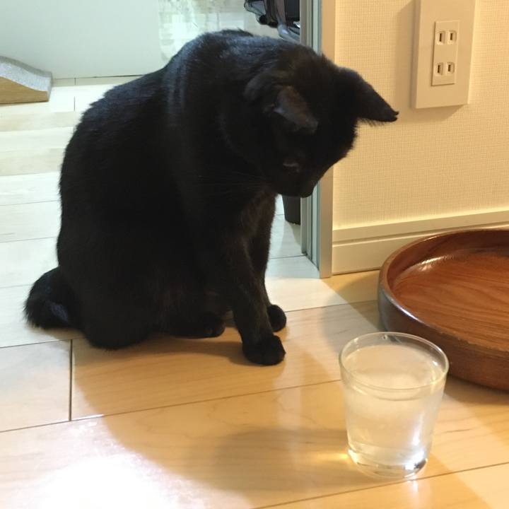 1e936c6f 2a8f 432f bb30 158229d5a3b2 1531147910375