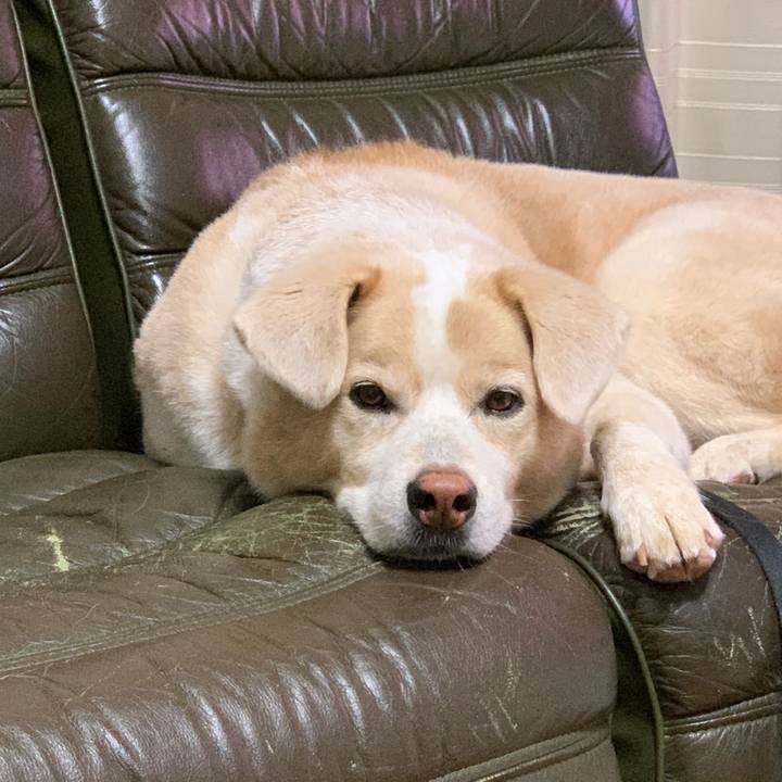 1e9390e4 8f55 4dbd 9f92 16808f5bc1df 1600354698163