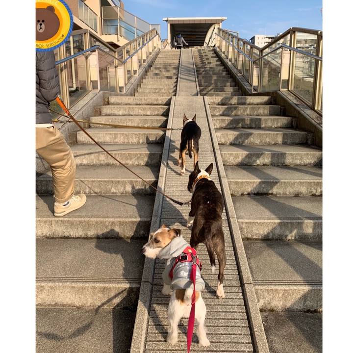 1e93a2ed 84f6 43fd ac7e 4d7747fb05c5 1583045813231