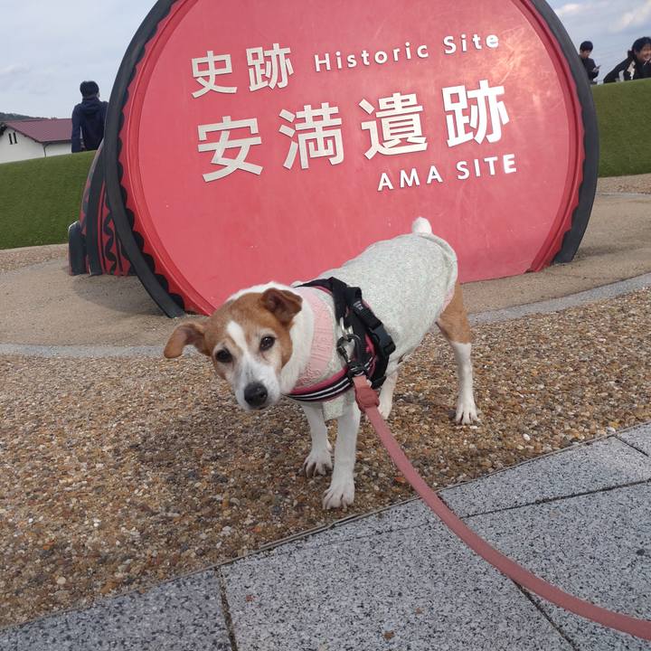 1e93b2dd f839 45c0 929f 310ce4ebc094 1762065488598