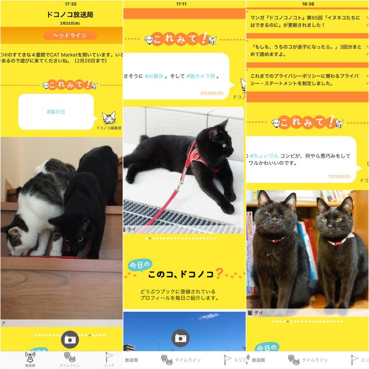 1e9446d5 ad33 48bc ad2e 43998d887216 1532096542929