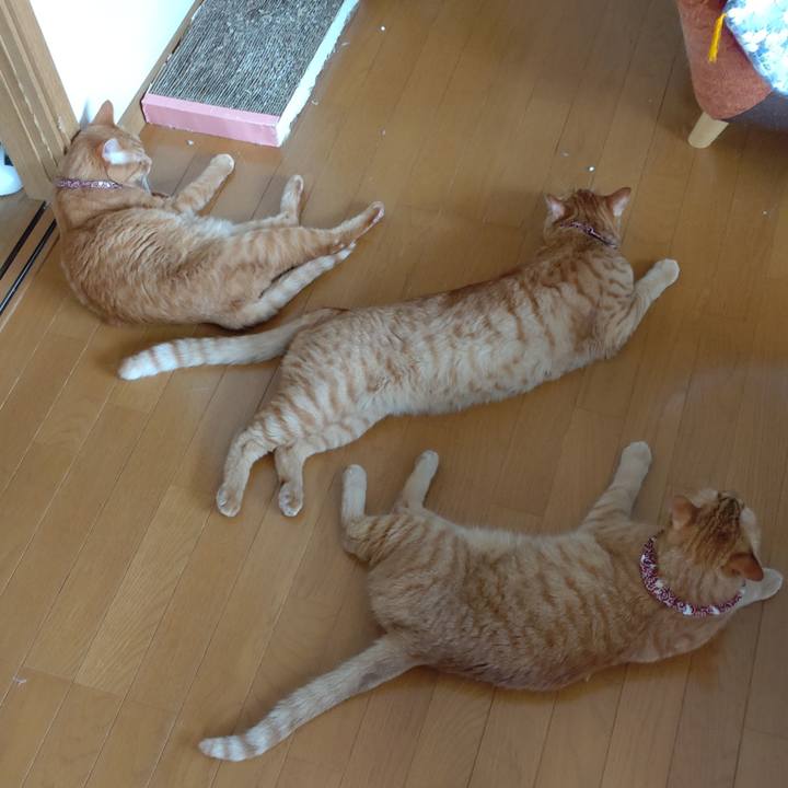 1e945b8b 11cc 4399 8f03 5c0c0b605cdb 1723811089699