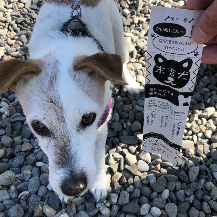 1e945e51 7c73 4d63 8d2b acafaadec1f8 1578727335139