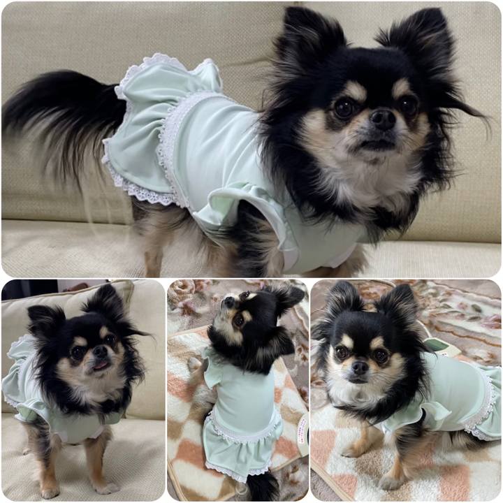 1e9494ae 3f12 4181 b2a2 49211621a04a 1646636440760