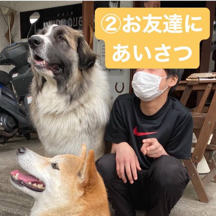 1e94a043 996b 46f5 b685 bab61008c2c4 1741802420956