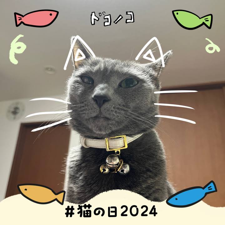 1e94a889 8efe 4f3a 9840 5458bc59208d 1708558110138