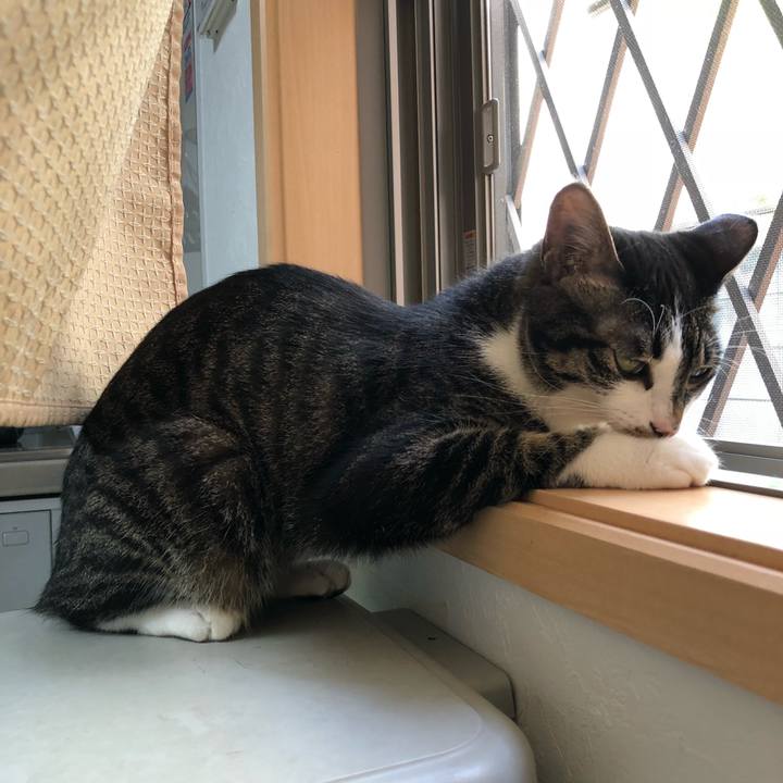 1e94e596 08c5 49bf 9102 103e3ee02a51 1531944420760