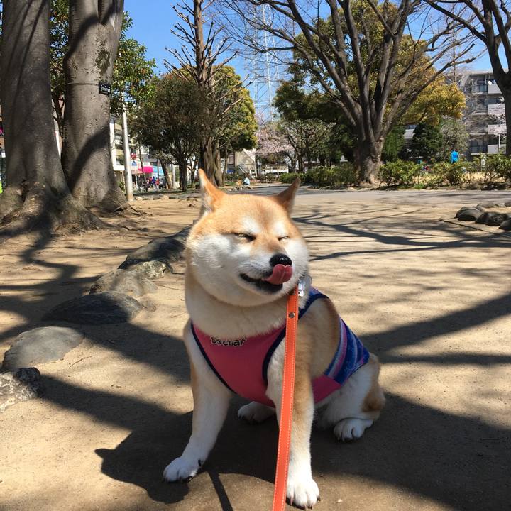 1e94f5b3 b70d 4f3c 85dd 219776c9d8e3 1554349514656