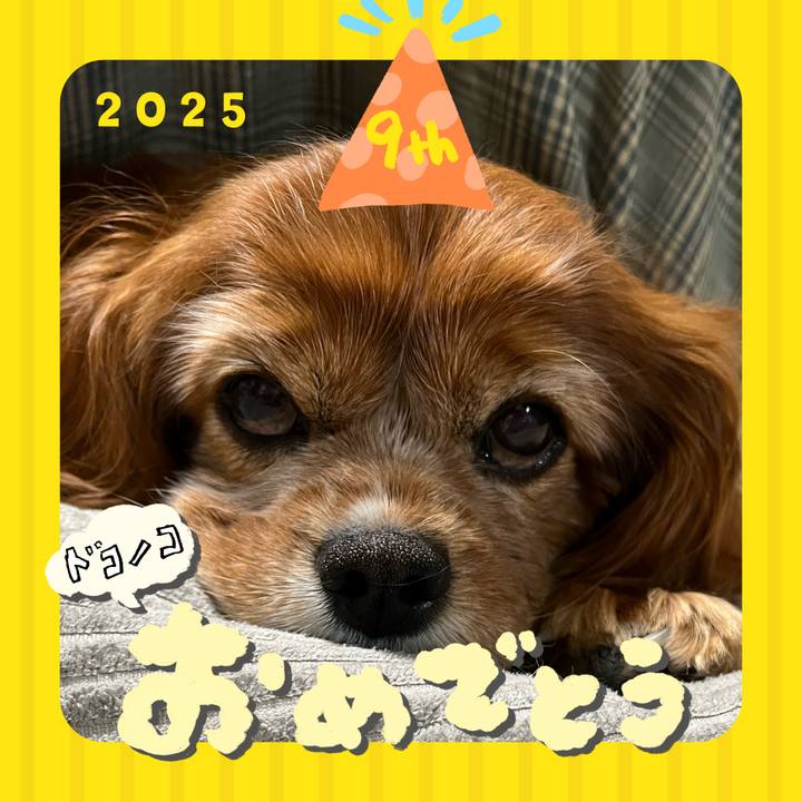 1e95111a 6962 4388 ad6b b2a4d98b8dee 1749126999942