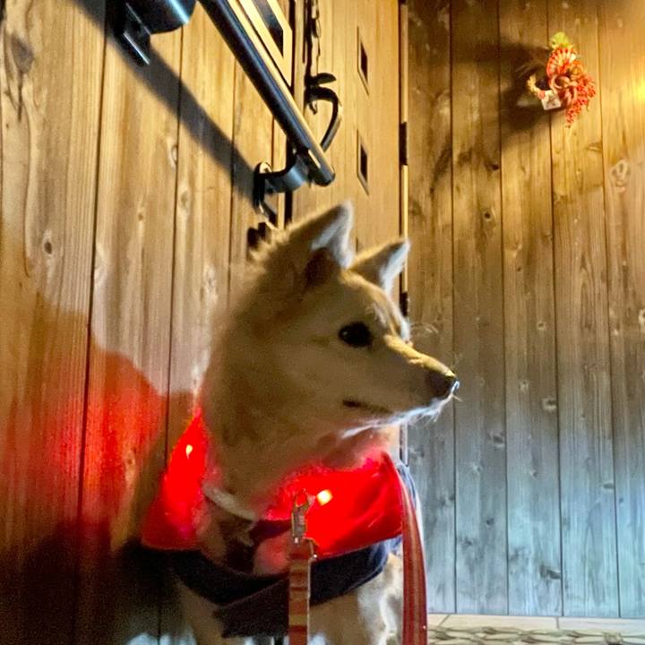 1e951338 ca24 4d99 b477 074a3bf6a034 1735889361270