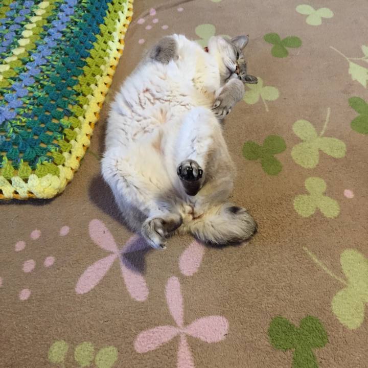 1e953a6a 2f4d 4682 80c0 f3dcf817f604 1553081980894