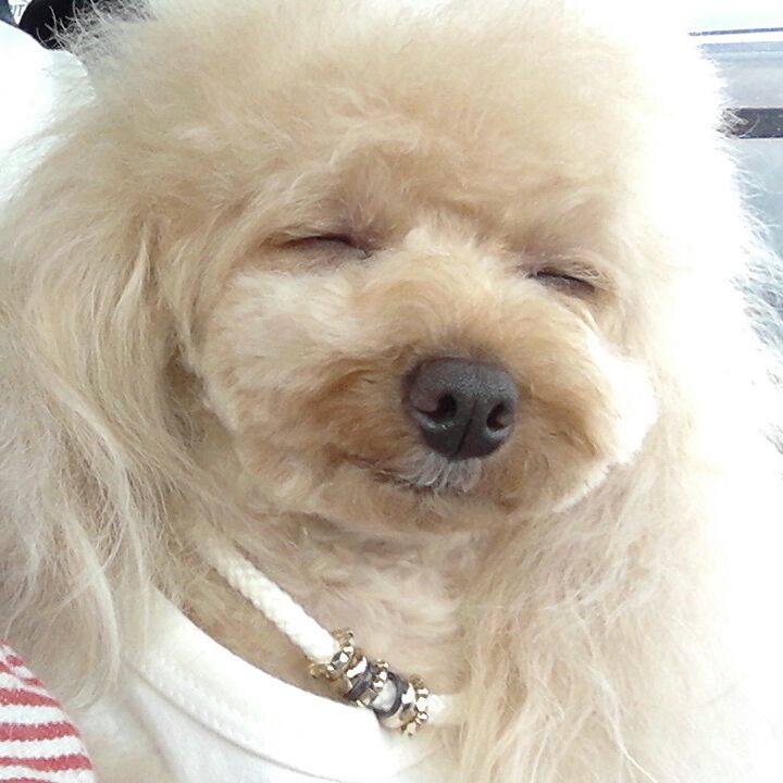 1e95d4a7 160a 488a badc 9f7c3cf74551 1534071717915