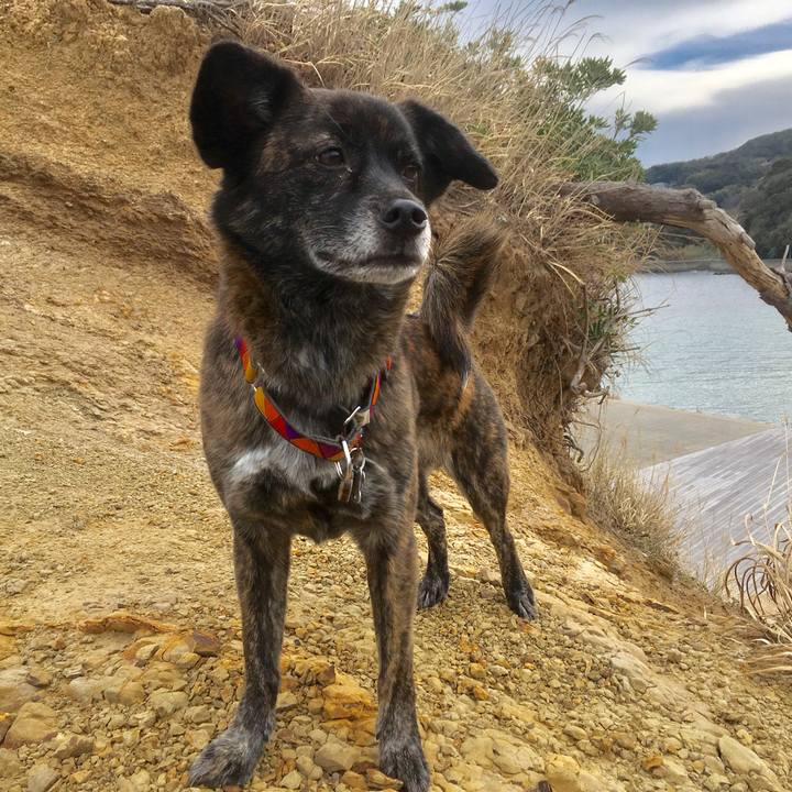 1e95dd95 ee10 447d b8b9 59d51b35637f 1516099269423