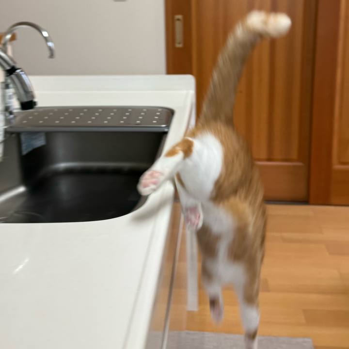 1e9605bd c91c 46c8 bcdd e4aa4fbbb5c0 1762045340758