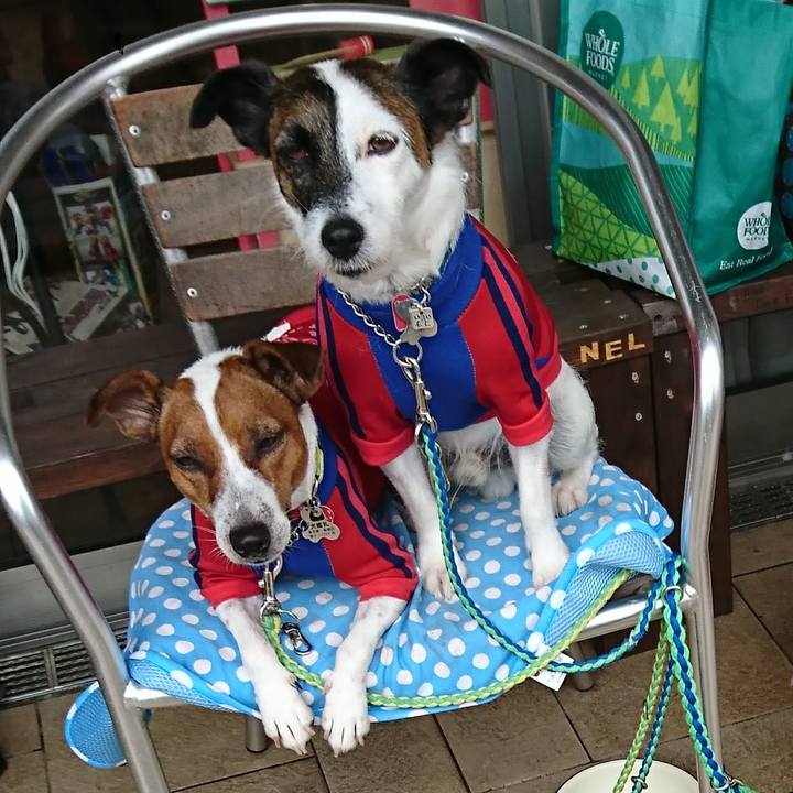 1e961227 0cda 4dc9 a000 e51daf14ba01 1594792248244