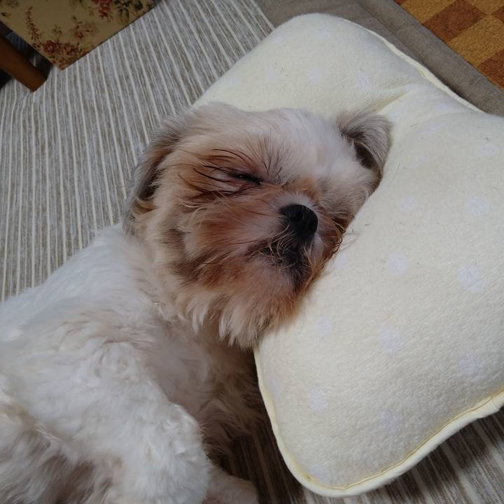 1e9642ce 1c72 4dbd bdde be341a017a8f 1599095599514