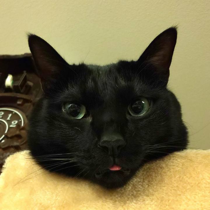 1e9673d2 024f 4237 9c32 81bf2d1e5139 1674138776591