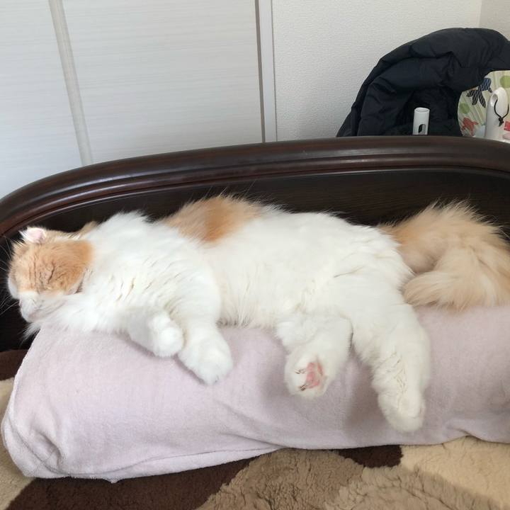 1e9674fb 2d46 4440 9c45 4d62210d4062 1636198174556