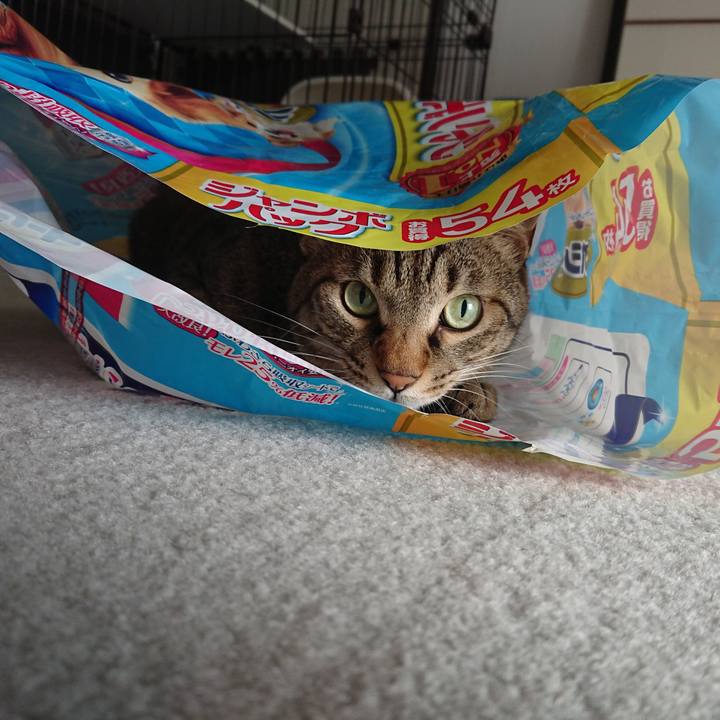 1e968bae de53 4e38 9c3e 5c14f292c2b0 1601176467819