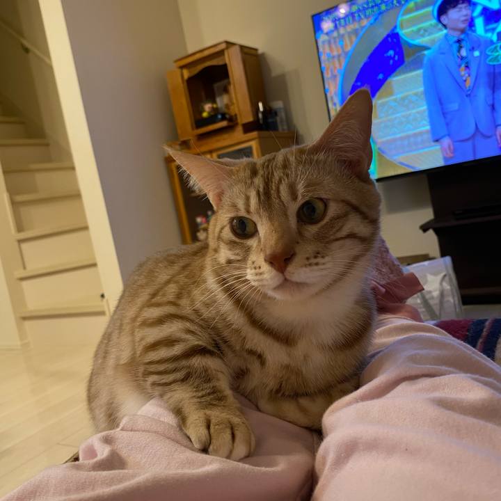 1e969af6 c9c4 4815 86da 84413795e941 1645882022516