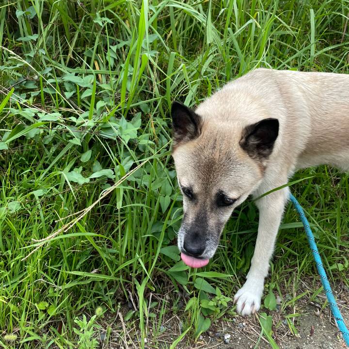 1e969fee 5902 45ee a040 494225168acf 1692794462082