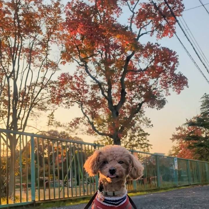 1e96b992 5648 44eb 8ec7 6bd5b2135f15 1763073717461