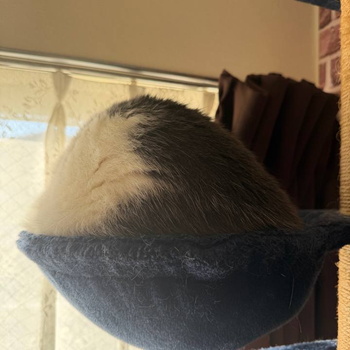 1e96ee1b d358 4de0 88ba e17f983e23a7 1763946053840