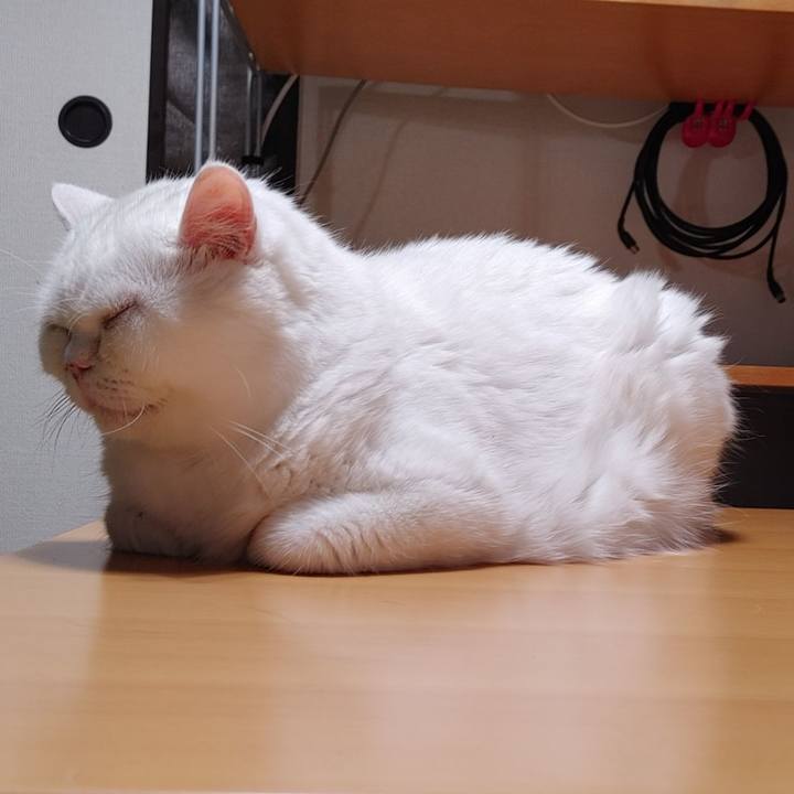 1e96fa88 8a55 4eca 96b1 9ab951e63609 1628597305707