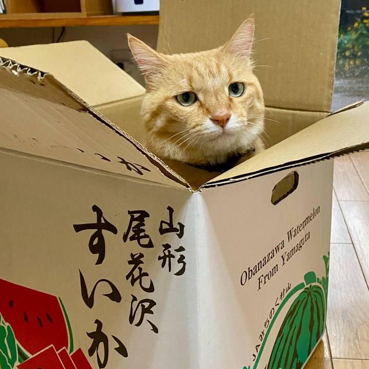 1e971a1b 81d8 4b4e 9741 98f132a336fb 1723073420954