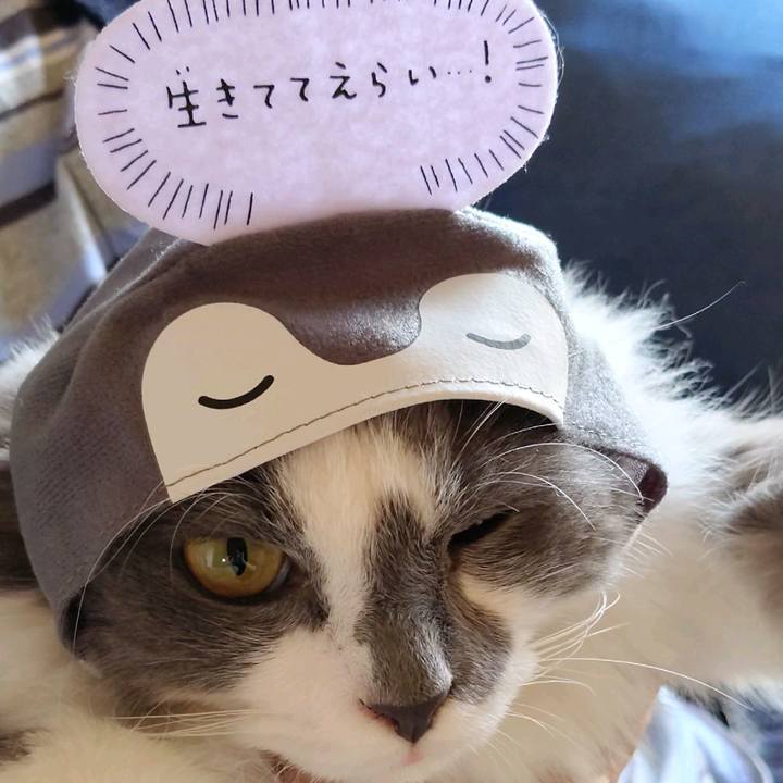 1e974f39 e565 41a4 a32a 529ff9e4dd1a 1601173950869