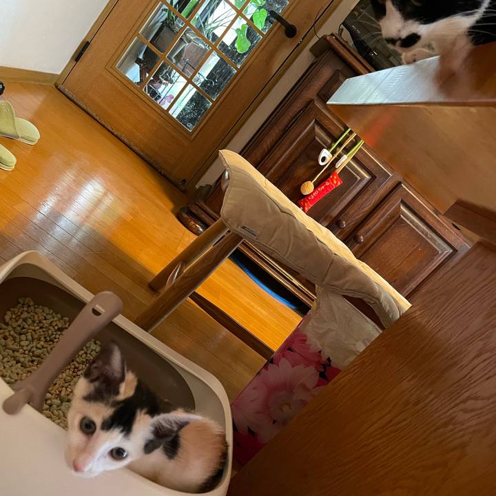 1e976295 dc87 4655 9993 26064d840ee3 1658042895600