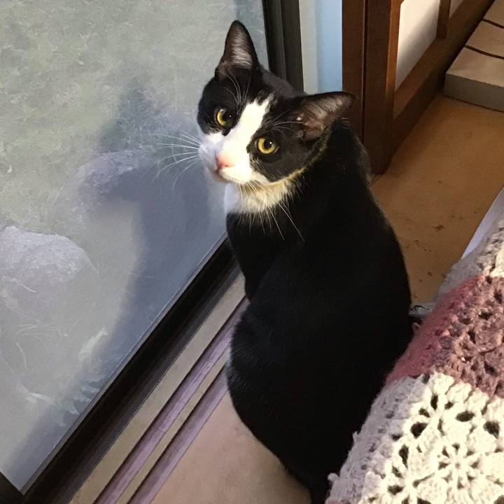 1e977e00 72b2 4630 bb97 1987b5735fa5 1649755472798