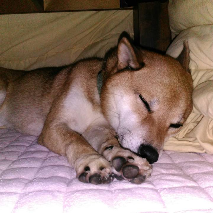 1e9792b7 2979 4c92 b1db 9902987742b9 1508465441904