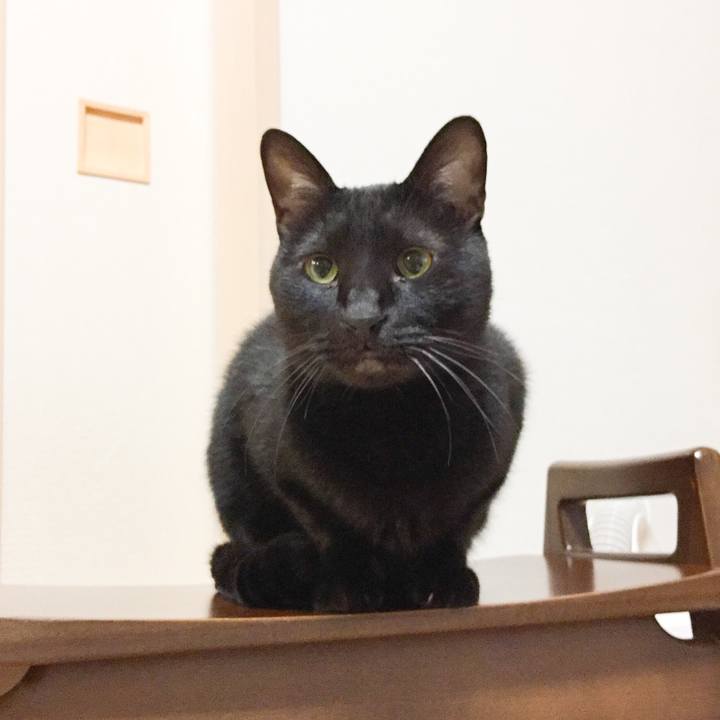 1e97bc91 c574 4f4e 95ad 75596c776443 1577800608310