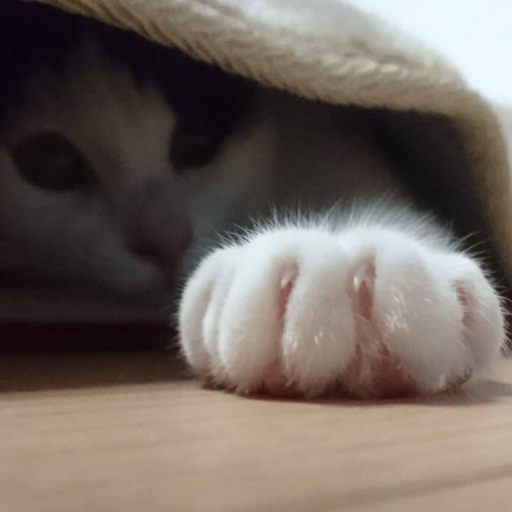 1e97ed30 434e 44d5 bd63 99ff8a6849e1 1519213007879