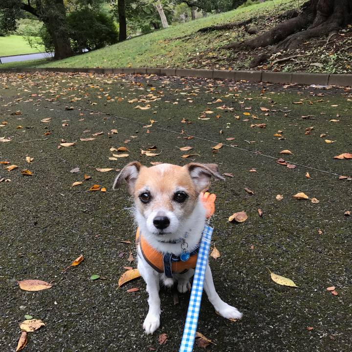 1e983e57 d6e1 4db9 9bc2 52a816fdff99 1601178609628