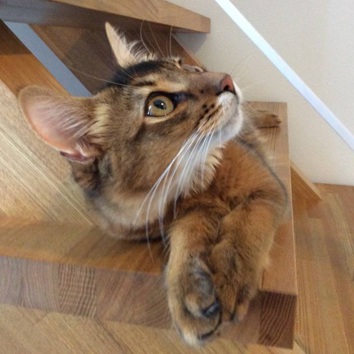 1e984387 38fe 4904 8d2b f571691e02ef 1570437697720