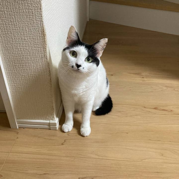 1e988cbf 740f 42c7 ac63 01ac769f19b1 1757101956415