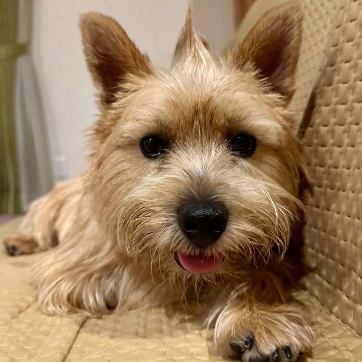 1e98c71e cdf3 4b36 a502 055ab591832c 1754338462752