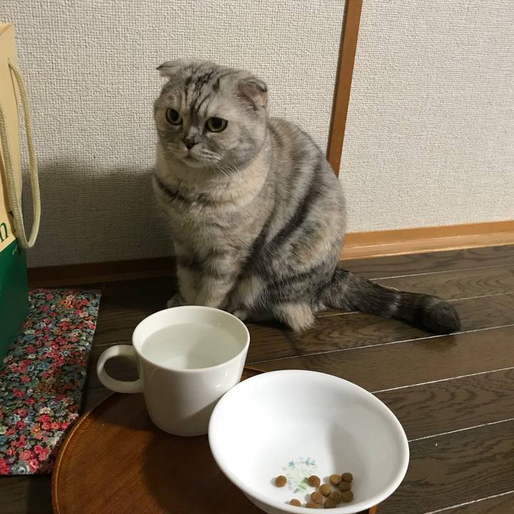 1e98d6a9 5854 4cd9 b443 2db30f5006bb 1513513204555