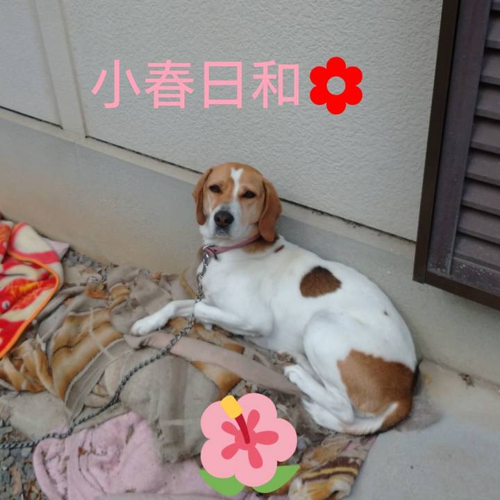 1e990155 7d24 4909 9128 e48ef32725dc 1584508407872