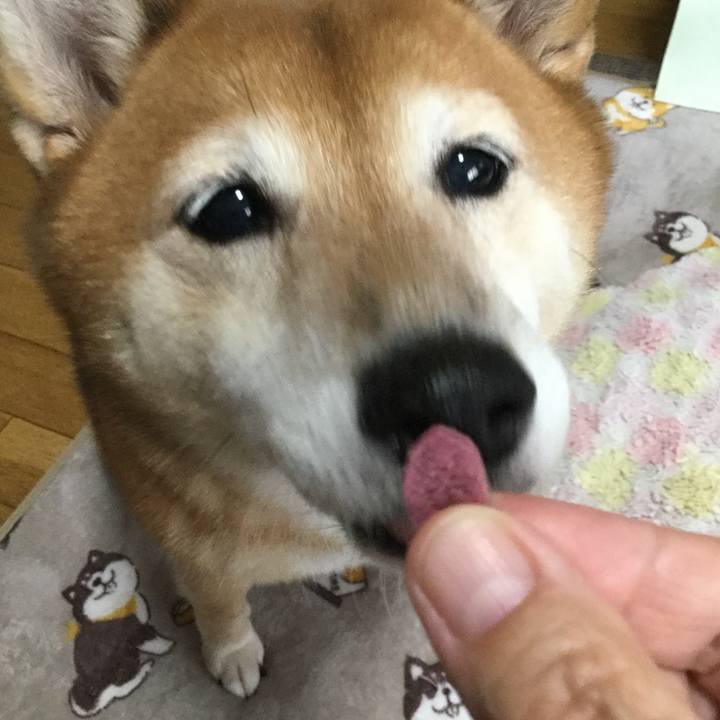 1e99136d 5f7a 4813 ac27 ad72344308de 1601868421686