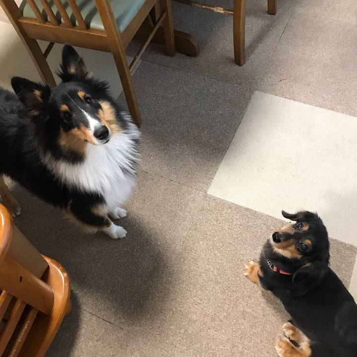 1e994611 99e9 4e09 88a0 d24176ba7084 1543961154679