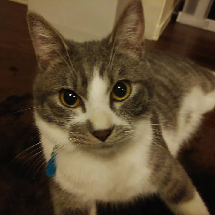 1e9947d0 988e 4cb1 87e9 881bb76eadad 1580398555540