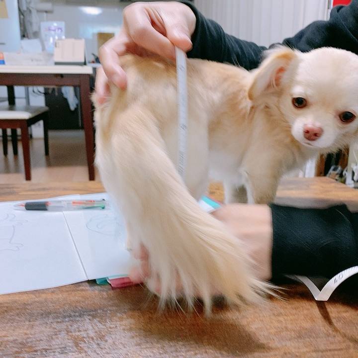 1e995cf3 00e9 4da1 8957 30756da4f98d 1611133710336