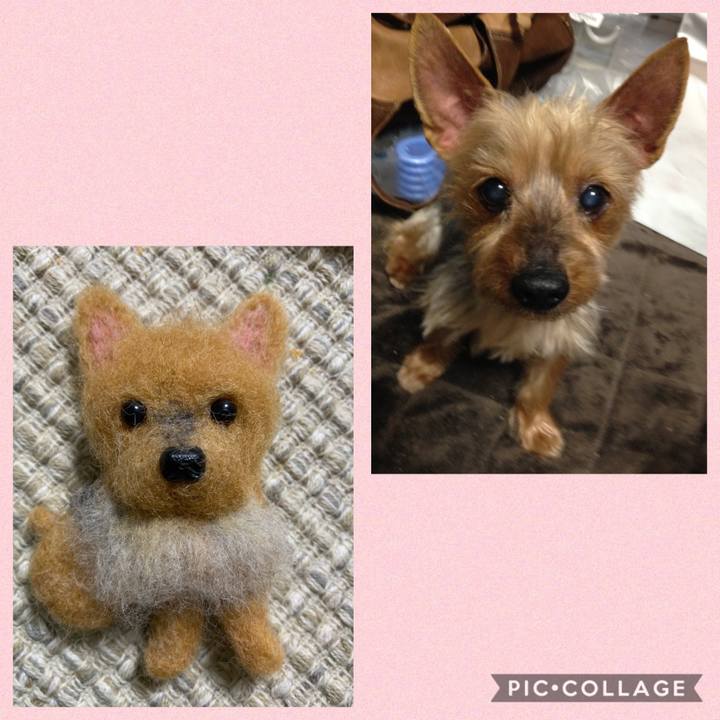 1e9978fc 79dd 4d33 94d3 e1820d7e8f7f 1573340569206